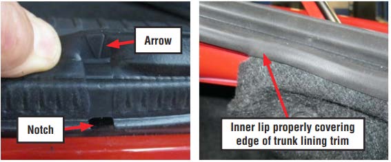 Rear Combination Lamp and Related Enhancements