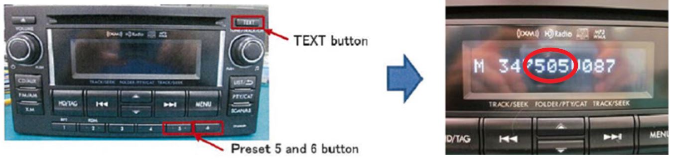 Press and HOLD the TEXT button while pressing the station preset buttons 5 & 6 simultaneously