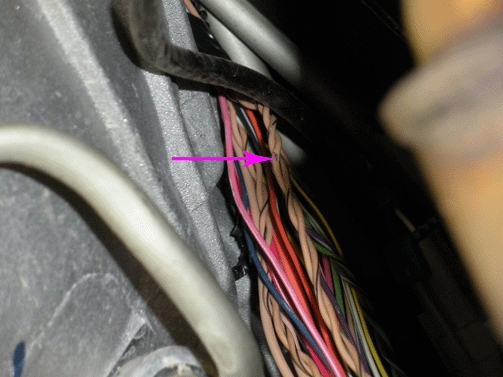 wiring that may be exposed outside of the conduit
