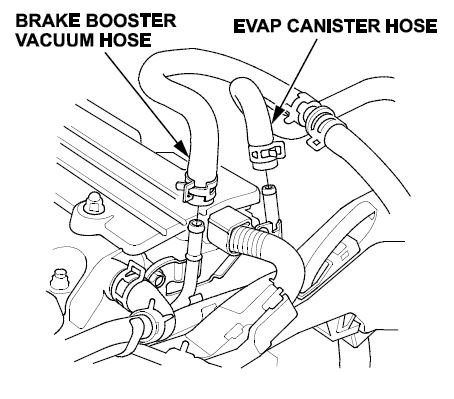 brake booster vacuum and EVAP canister hoses