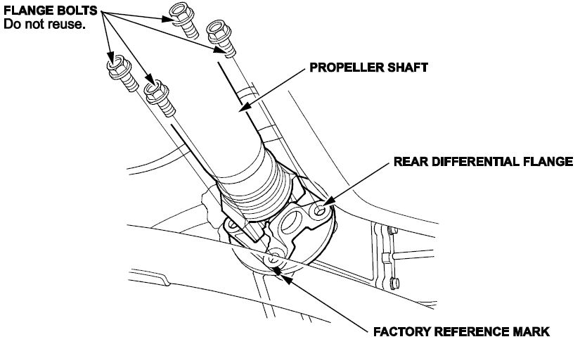 rear differential flange