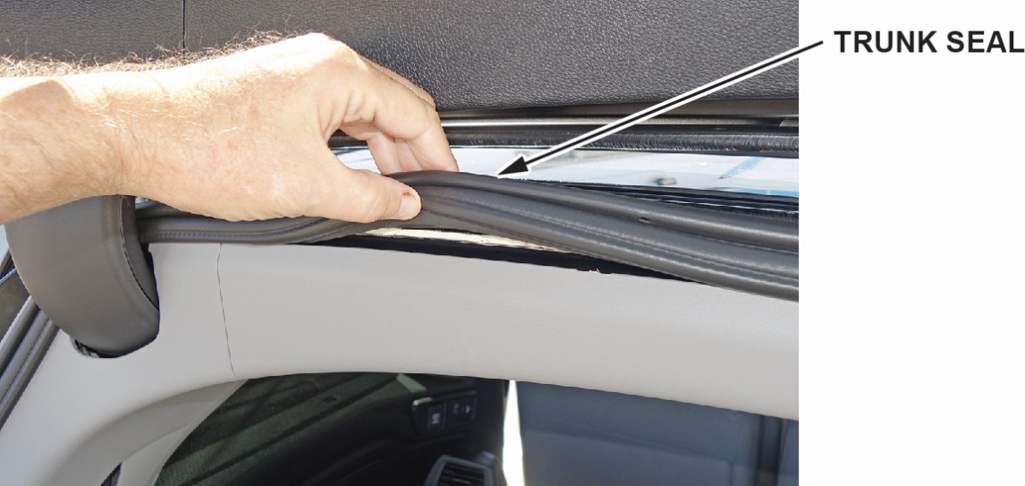 Partially remove the trunk seal