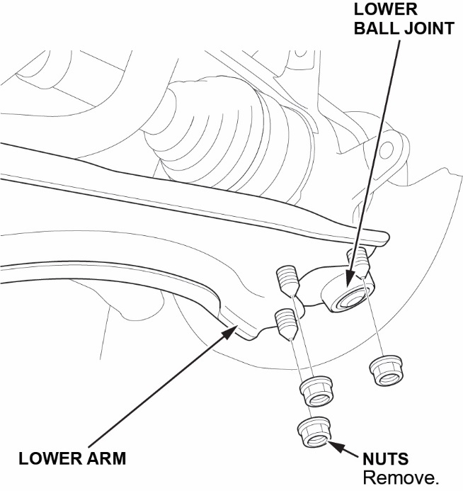 lower ball joint