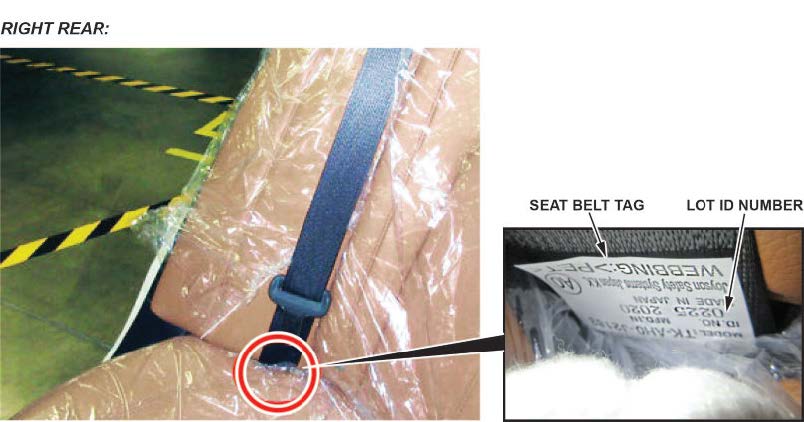 Right Rear Seat Belt