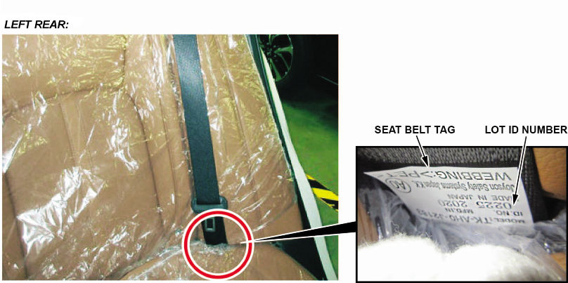 Left Rear Seat Belt