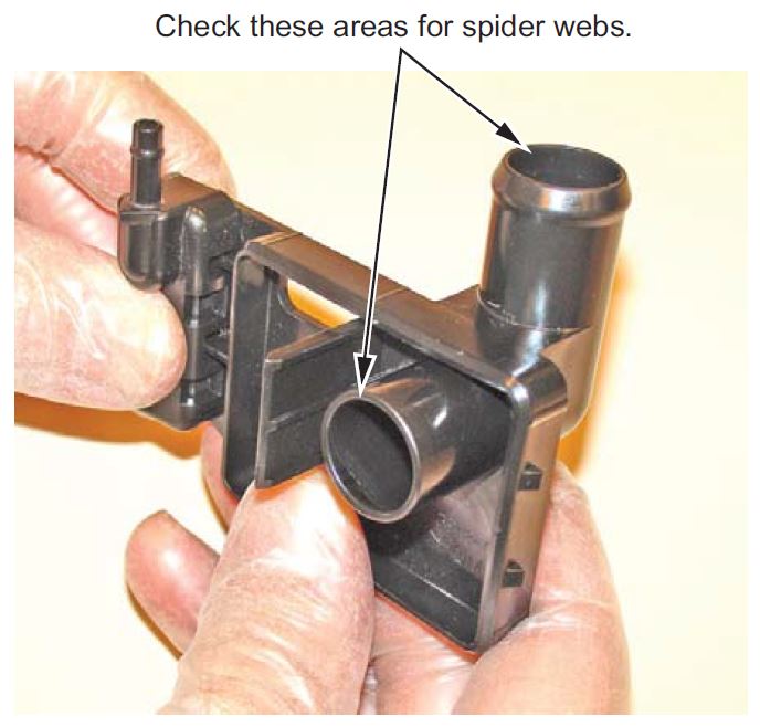 Check these areas for spider webs.