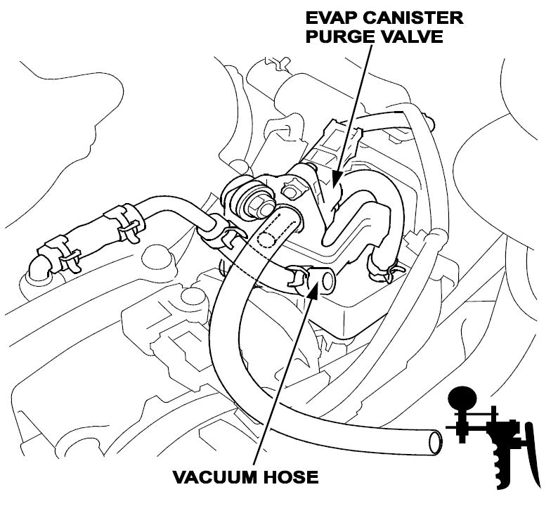 EVAP canister purge valve