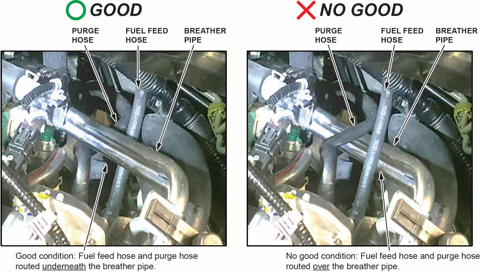 Check if the purge and fuel feed hose is routed underneath the breather pipe and not above it