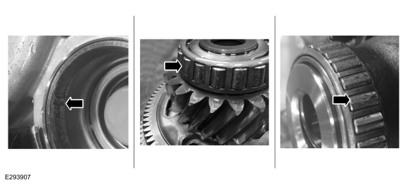 differential and transfer shaft bearing