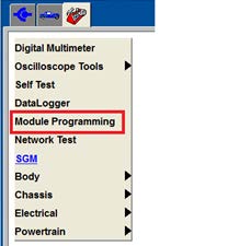 Module Programming Menu