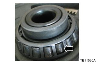 differential and transfer shaft bearing