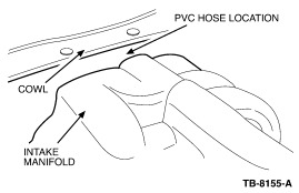 PCV hose